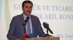 Bakan Tüfenkci: İlk Gümrük ve Ticaret Merkezi İstanbul'a kurulacak